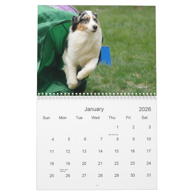 Australian shepherdAgilitykalender Kalender (Jan 2026)