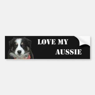 Australian shepherdbildekal bildekal
