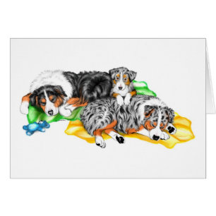 Australian shepherdfamiljen ta sig en tupplur OBS kort