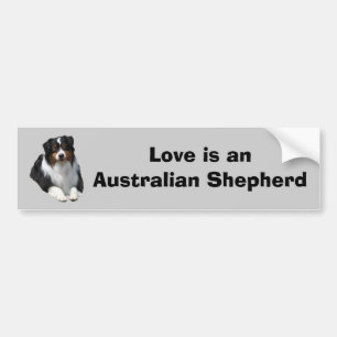 Australian shepherdförmyndarebildekal bildekal