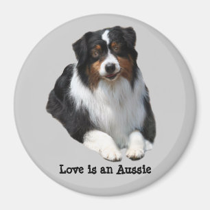 Australian shepherdförmyndaremagnet magnet
