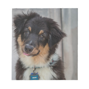 Australian shepherdhund anteckningsblock