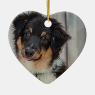 Australian shepherdhund julgransprydnad keramik
