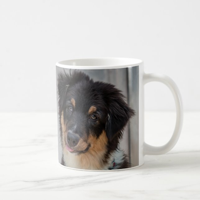 Australian shepherdhund kaffemugg (Höger)