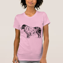 Australian shepherdhund