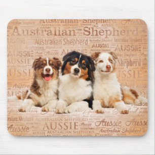 Australian shepherdhundar på ordmoln 1 musmatta