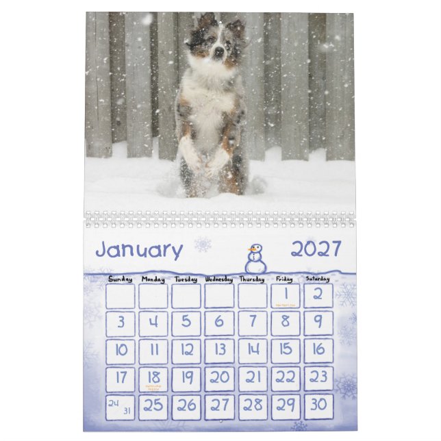 Australian shepherdkalender kalender (Jan 2027)