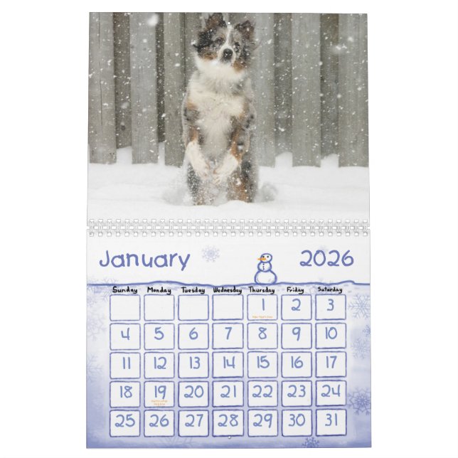Australian shepherdkalender kalender (Jan 2026)
