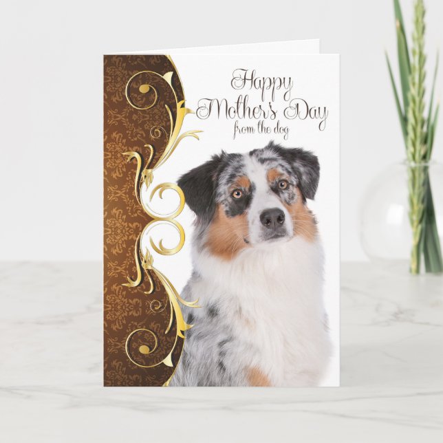 Australian shepherdmors dagkort kort (Framsida)