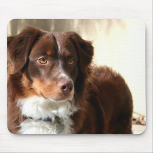 Australian shepherdmousepad musmatta