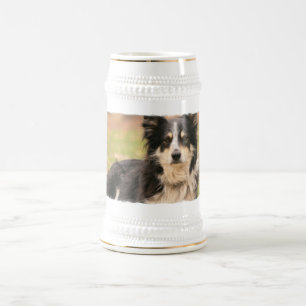 Australian shepherdöl Stein Sejdel