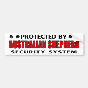 Australian shepherdsäkerhet bildekal