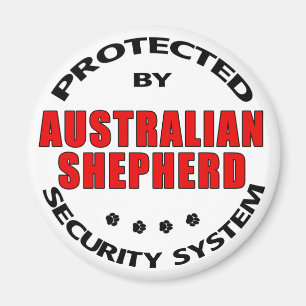 Australian shepherdsäkerhet magnet