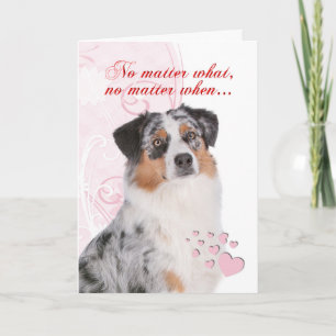 Australian shepherdvalentin kort för dag