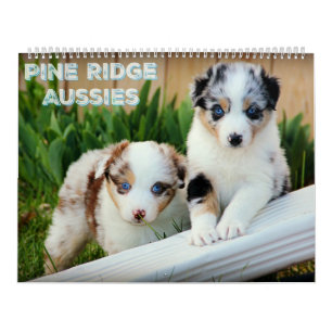 Australian shepherdvalpar kalender