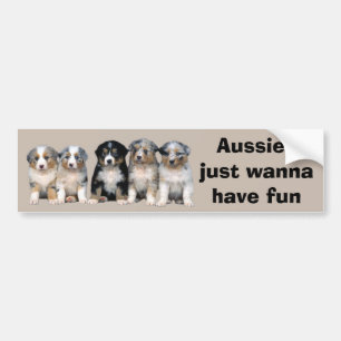 Australian shepherdvalpbildekal bildekal