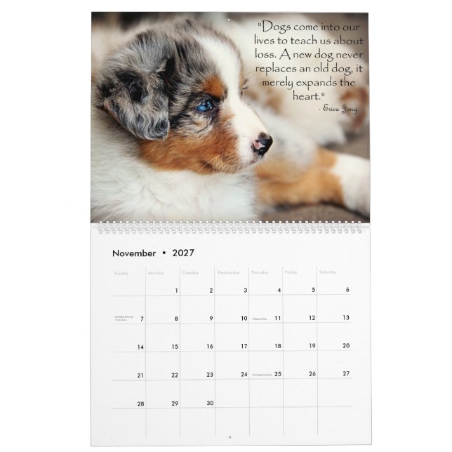 Australian shepherdvalpkalender kalender (Nov 2027)