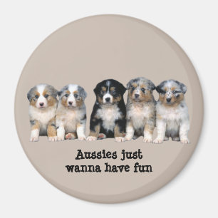 Australian shepherdvalpmagnet magnet