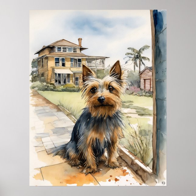Australian Silky Terrier - Hund Art Print Poster (Framsidan)