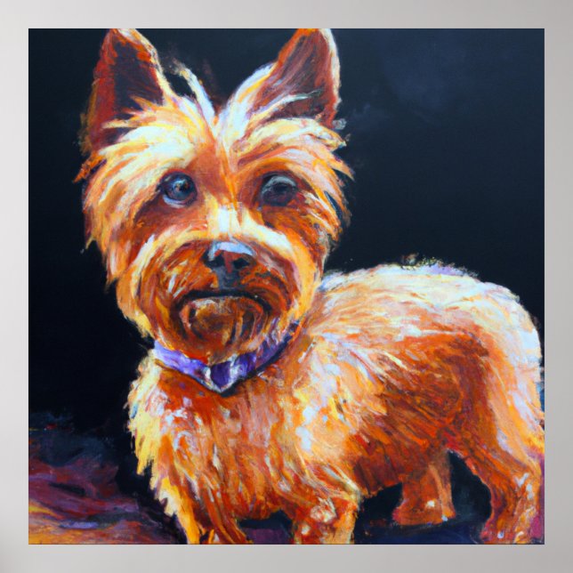 Australian Silky Terrier - Hund Porträtt Poster (Framsidan)