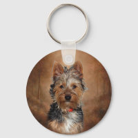 Australian Silky Terrier