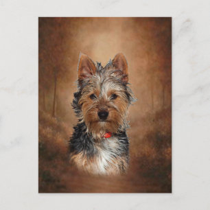 Australian Silky Terrier Vykort