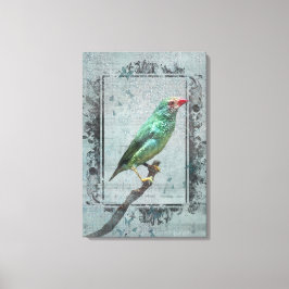 Australian Star Finch on Music Canvastryck