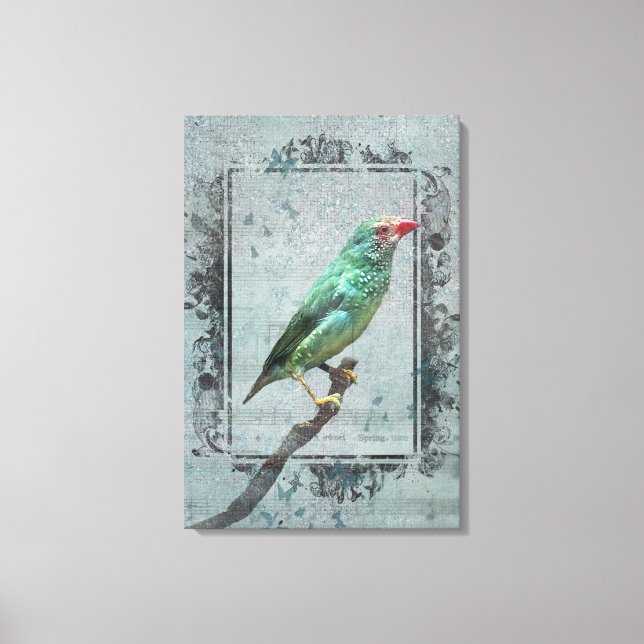 Australian Star Finch on Music Canvastryck (Framsida)