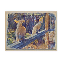 Australian Sulfur Crested Cockatoo