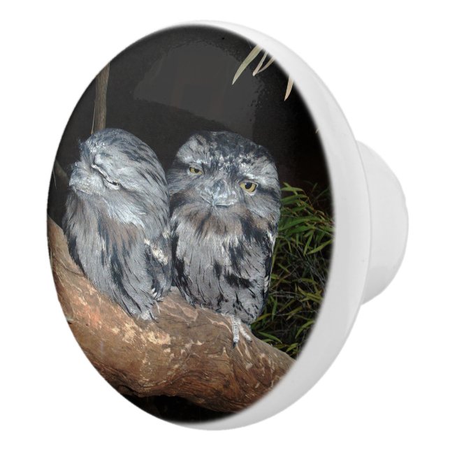 Australian Tawny Frogmouth Uggla, Ceramic pull Knopp (Höger)