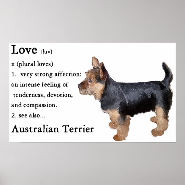 Australian Terrier Gifts Poster (Framsidan)