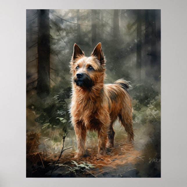 Australian Terrier Hund Art Print Poster (Framsidan)