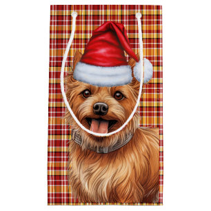 Australian Terrier Hund Helgdag Play-jul