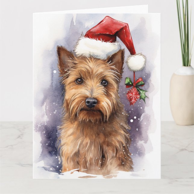 Australian Terrier Hund jultomten Tassar Kort (Framsida)