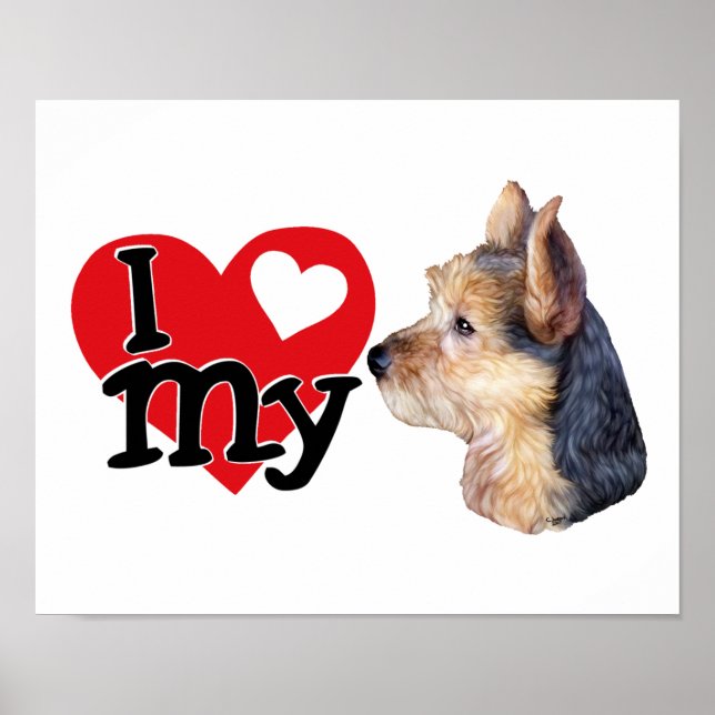 Australian Terrier I (hjärta) min Poster (Framsidan)