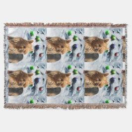 Australian Terrier-jul Filt