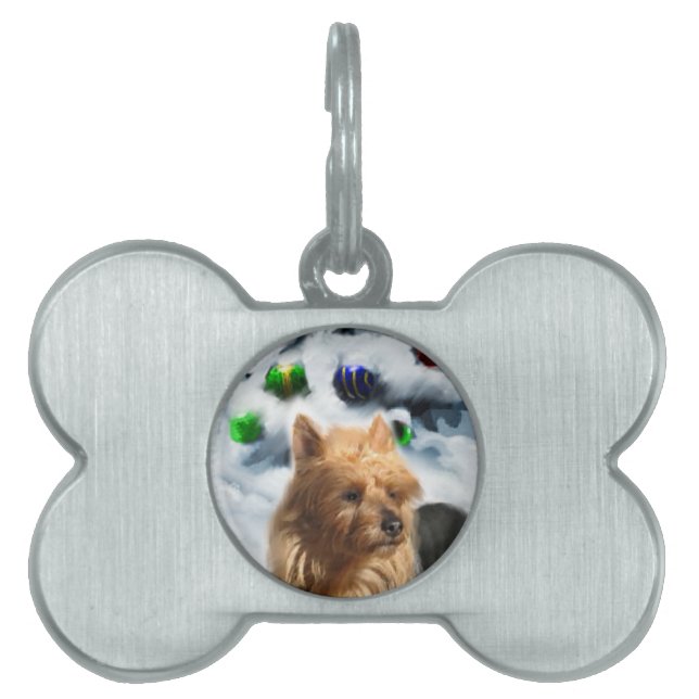 Australian Terrier-jul Namnbricka Husdjur (Framsidan)