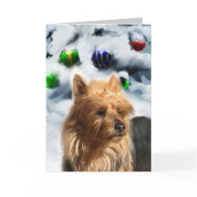 Australian Terrier-julgåvor