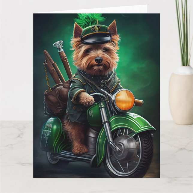 Australian Terrier kör cykel på St. Patricks dag Kort (Framsida)