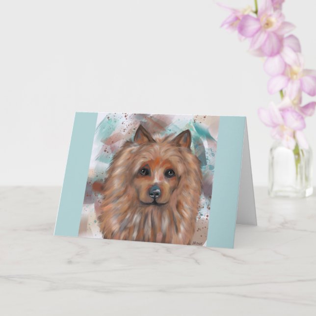 AUSTRALIAN TERRIER KORT (Orkide)