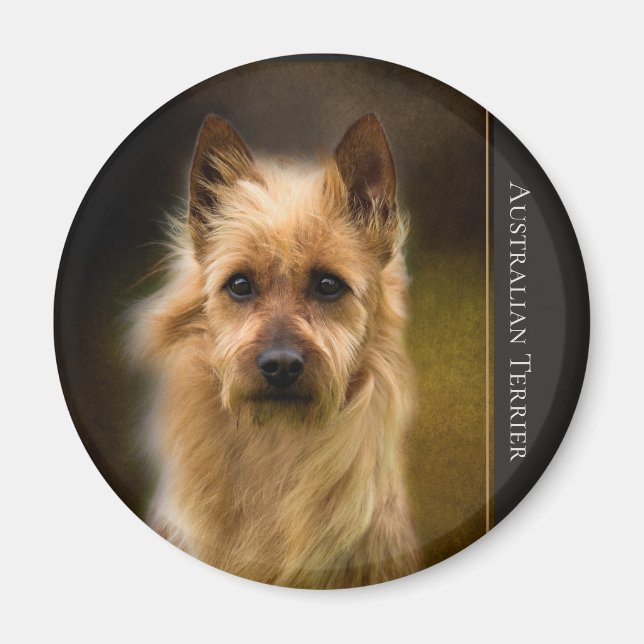 Australian Terrier Magnet (Framsidan)