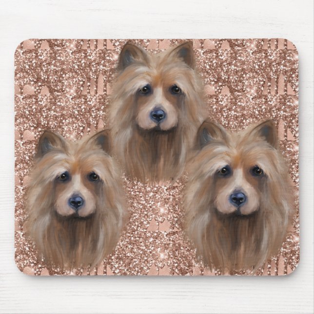 AUSTRALIAN TERRIER MUSMATTA (Framsidan)