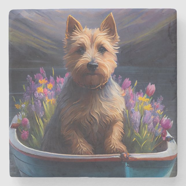 Australian Terrier on Paddle: A Scenia Äventyr Stenunderlägg (Framsidan)