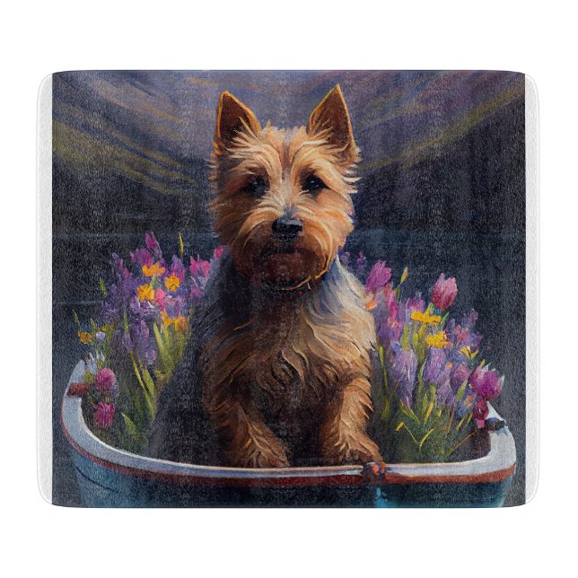 Australian Terrier på paddel: Ett naturskönt ävent (Framsidan)