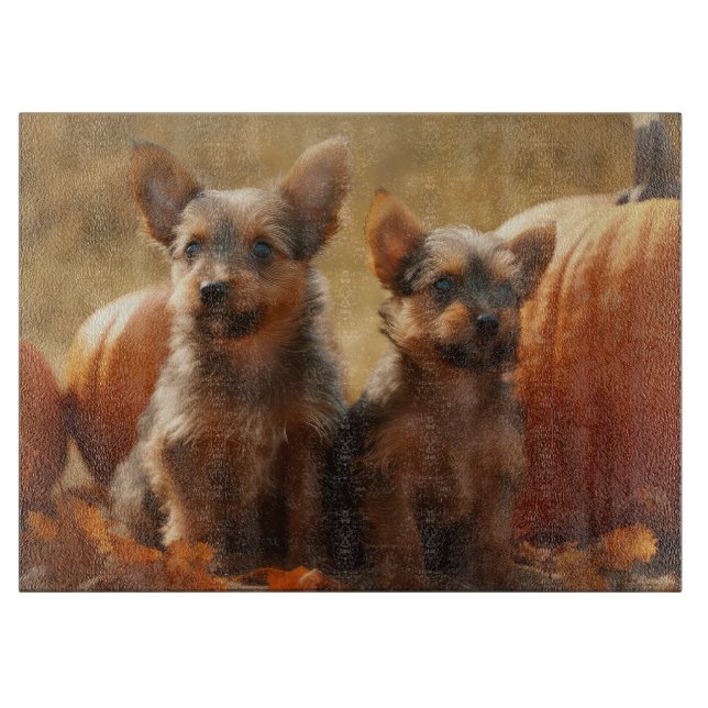 Australian Terrier Puppy Autumn Delight Pumpkin (Framsidan)