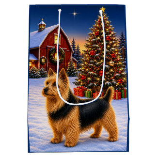 Australian Terrier Semester
