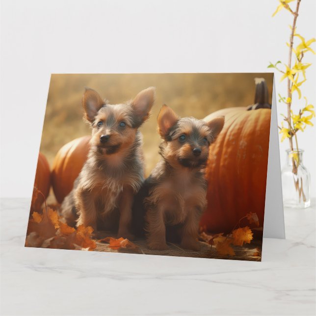 Australian Terrier Valp Autumn Delight Pumpkin Kort (Gul blomma)