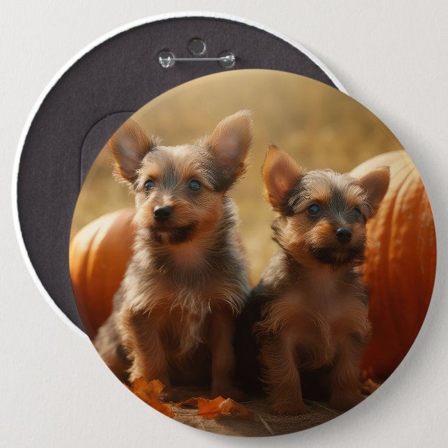 Australian Terrier Valp Höstglädje Pumpa Knapp (Framsida & baksida)