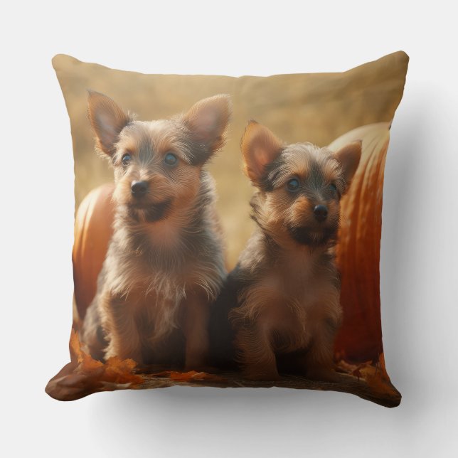 Australian Terrier Valp Höstglädje Pumpa Kudde (Framsida)