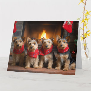 Australian Terrier vid brasan jul Kort